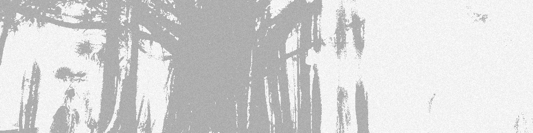 Banner 1